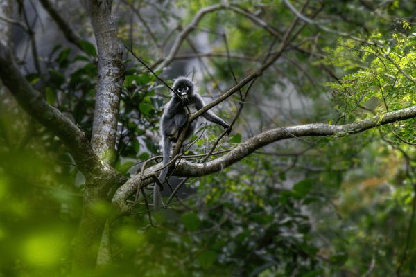 Circuit Des Temples Khmers aux plages de Krabi 4* pas cher photo 31