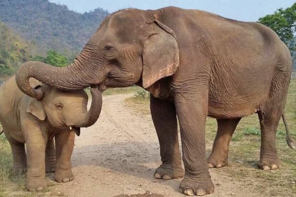Circuit Des Temples Khmers aux plages de Khao Lak 5* pas cher photo 10