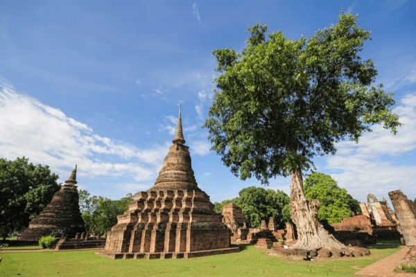 Circuit Lotus de Thaïlande et plage à Krabi 5* pas cher photo 19
