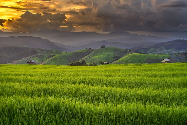 Circuit Jasmin de Thaïlande en Privatif et plage à Koh Samui 5* pas cher photo 18