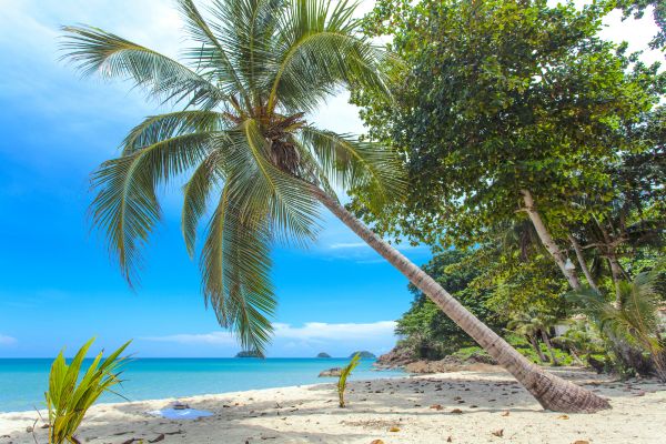 Circuit Perles du Siam et plage de Koh Chang... for Women Only pas cher photo 27