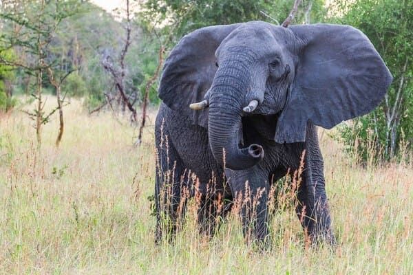 Circuit Jambo Zanzibar et plage de Jambiani pas cher photo 19