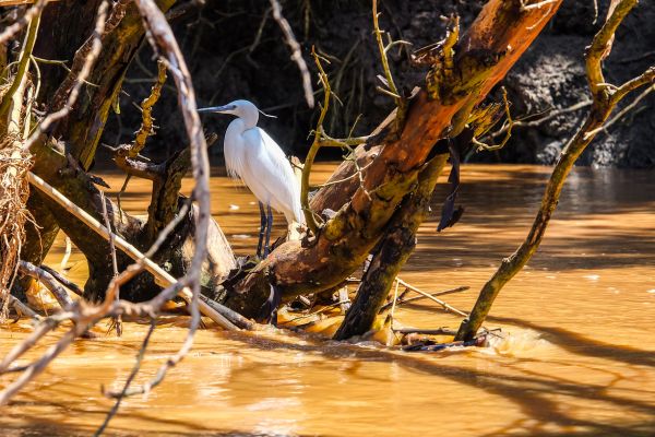 Circuit Tanzanie entre Terre et Mer, Cap sur Saadani pas cher photo 10