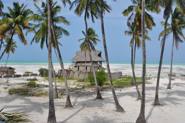 Circuit Tanzanie entre Terre et Mer, Cap sur Saadani pas cher photo 20