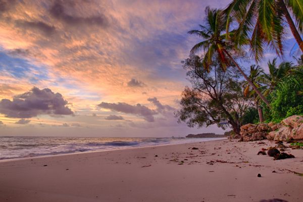 Circuit Tanzanie entre Terre et Mer, Cap sur Saadani pas cher photo 21