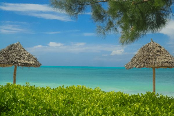 Circuit Tanzanie entre Terre et Mer, Cap sur Saadani pas cher photo 23