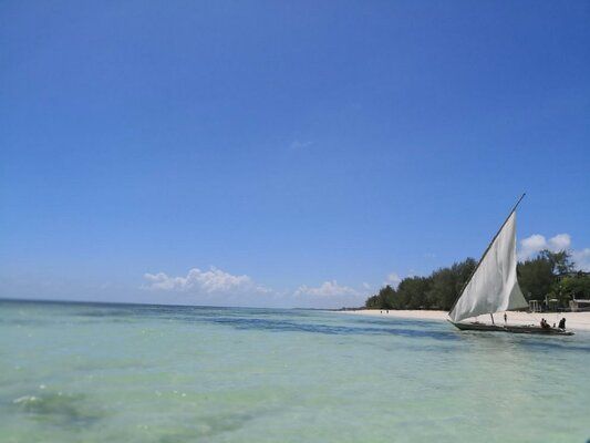 Circuit Tanzanie entre Terre et Mer, Cap sur Saadani pas cher photo 28