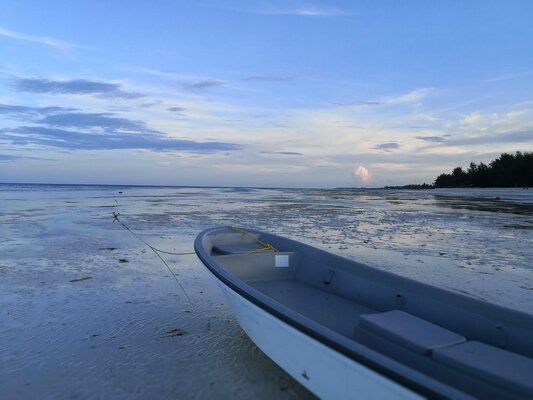 Circuit Tanzanie entre Terre et Mer, Cap sur Saadani pas cher photo 29