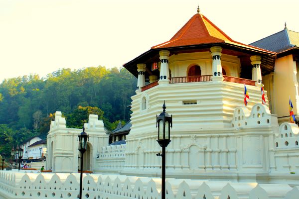 Circuit Du coeur du Patrimoine aux plages de Bentota pas cher photo 13