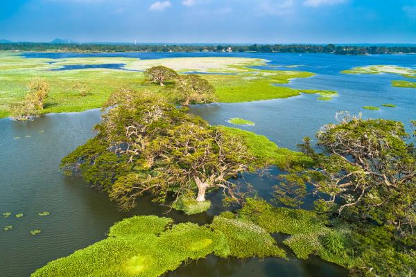 Circuit Trésors du Sri Lanka en Privatif et plage à Pasikudah 3* pas cher photo 17