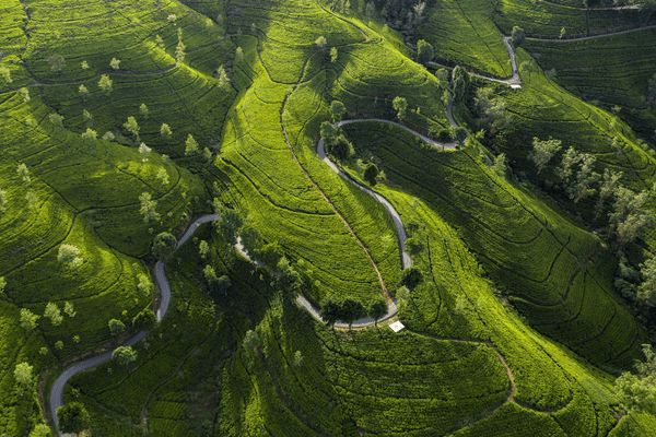 Circuit Trésors du Sri Lanka en Privatif et plage à Pasikudah 4* pas cher photo 5