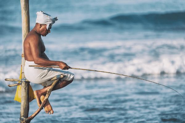 Circuit De la Route des Epices au lagon de l'atoll Ari pas cher photo 2
