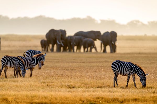 Circuit Des Terres Sauvages au lagon de Diani Beach pas cher photo 9