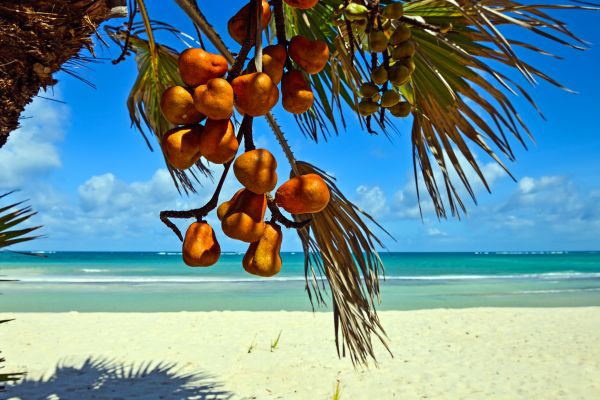 Circuit Des Terres Sauvages au lagon de Diani Beach pas cher photo 6