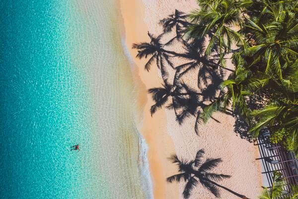 Combiné Soleil et Safari, Plages paradisiaques et Terres Sauvages 2*tout compris 2* pas cher photo 26
