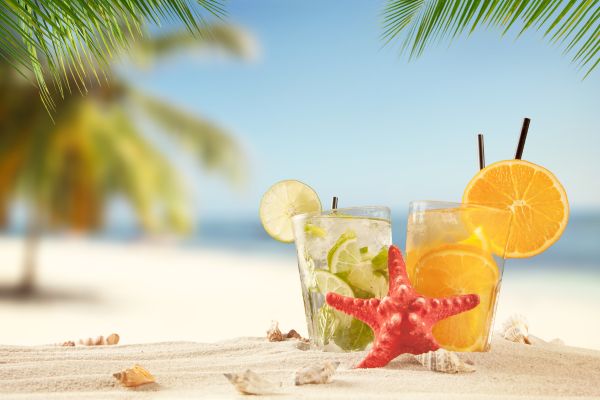 Combiné Soleil et Safari, Plages paradisiaques et Terres Sauvages 2*tout compris 2* pas cher photo 1