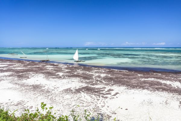 Combiné Soleil et Safari, Plages paradisiaques et Terres Sauvages 2*tout compris 2* pas cher photo 27