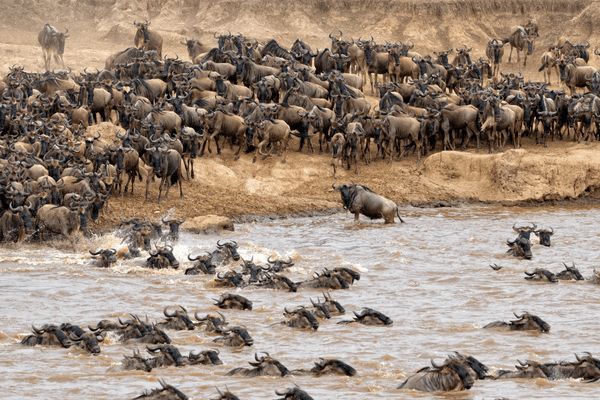 Combiné Kenya et Tanzanie, Du Joyau de l'Afrique aux Terres du Kilimandjaro pas cher photo 12
