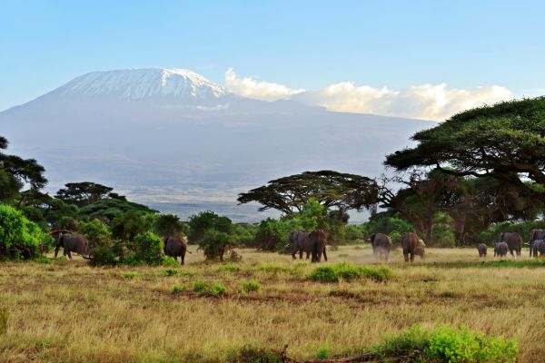 Combiné Kenya et Tanzanie, Du Joyau de l'Afrique aux Terres du Kilimandjaro pas cher photo 19
