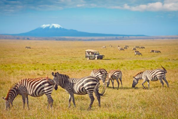 Combiné Kenya et Tanzanie, Du Joyau de l'Afrique aux Terres du Kilimandjaro pas cher photo 2