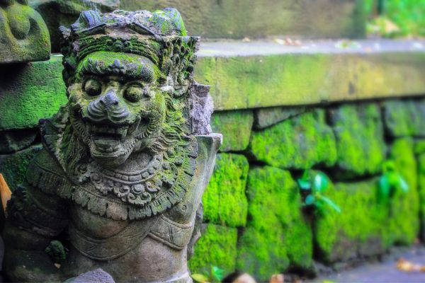 Combiné Rizières et Plage sur l'île des Dieux 4* pas cher photo 18
