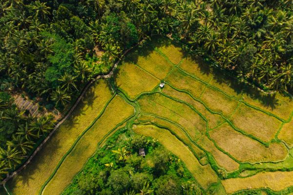 Combiné Rizières et Plage sur l'île des Dieux Charme 4* pas cher photo 21