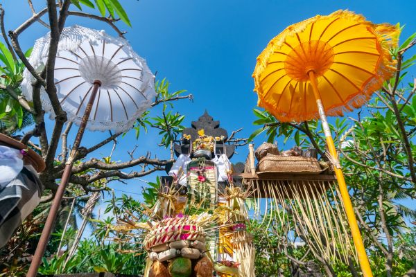 Combiné Rizières et Plage sur l'île des Dieux Charme 4* pas cher photo 22