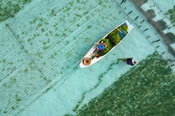 Combiné Des Rizières de l'île des Dieux aux eaux turquoise de Nusa Lembongan 4* pas cher photo 16