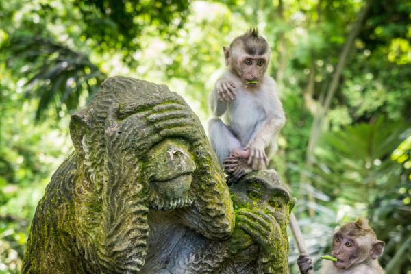 Circuit De Bali à Lombok, 2 îles 2 découvertes en Privatif pas cher photo 5