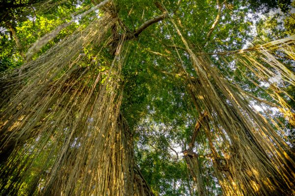 Circuit De Bali à Lombok, 2 îles 2 découvertes en Privatif pas cher photo 4