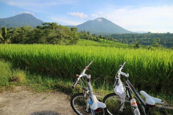 Circuit Bali Autrement en Charme et Privatif, entre Culture, Nature et Traditions pas cher photo 2