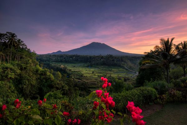 Circuit Bali Autrement en Glamping et Privatif, entre Culture, Nature et Traditions pas cher photo 26