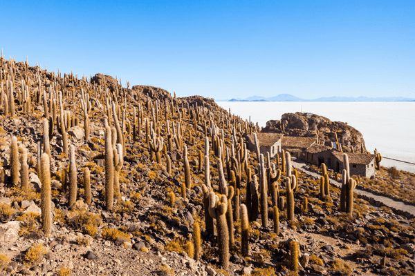 Circuit Grand Panorama Andin - Chili, Bolivie & Pérou pas cher photo 34