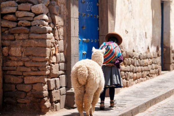 Circuit Grand Panorama Andin - Chili, Bolivie & Pérou pas cher photo 48