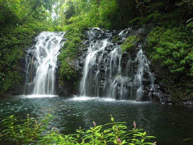 Autotour Entre Forêt Tropicale et Plage Ensoleillée 3* pas cher photo 6