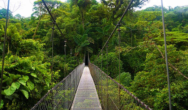 Autotour Entre Forêt Tropicale et Plage Ensoleillée 3* pas cher photo 11