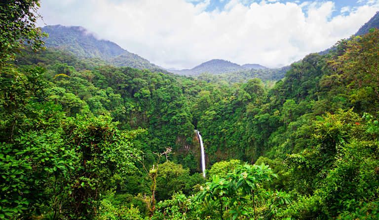Autotour Entre Forêt Tropicale et Plage Ensoleillée 3* pas cher photo 12
