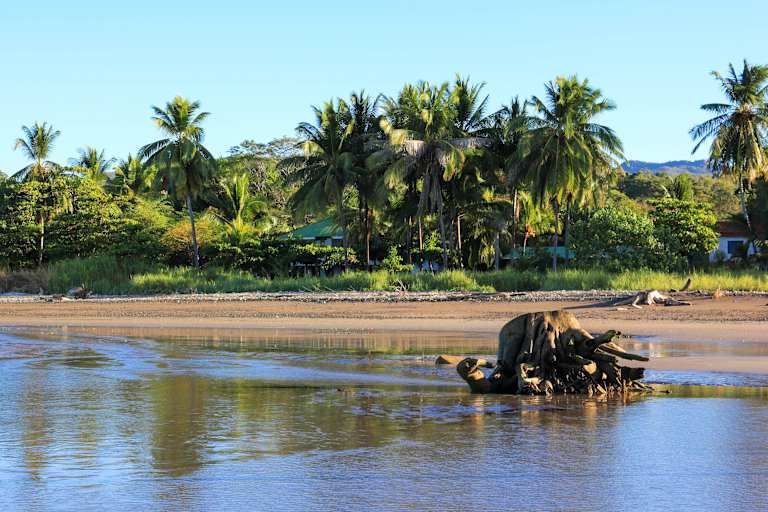 Autotour Entre Forêt Tropicale et Plage Ensoleillée 3* pas cher photo 15