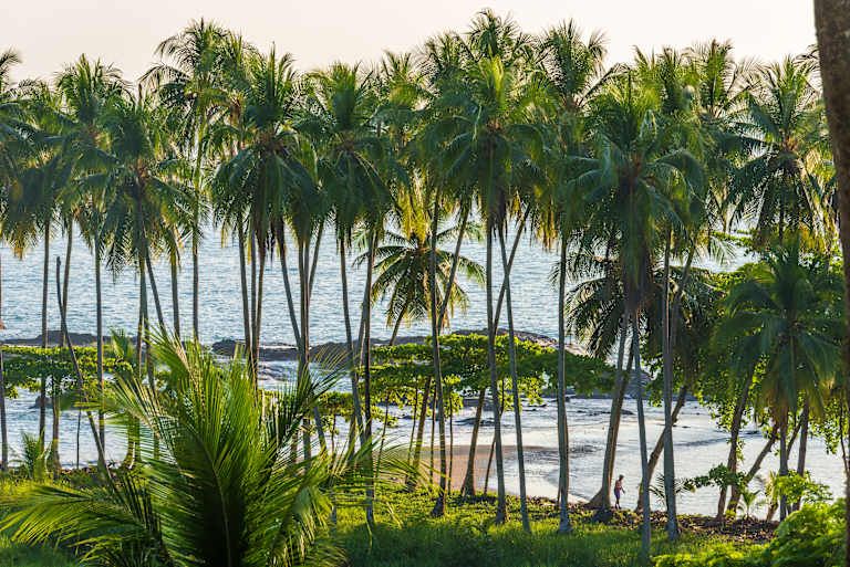 Autotour Entre Forêt Tropicale et Plage Ensoleillée 3* pas cher
