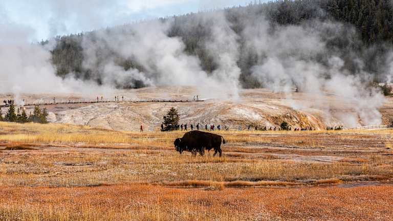 Autotour Yellowstone, Rocheuses et Mont Rushmore 2* pas cher photo 14