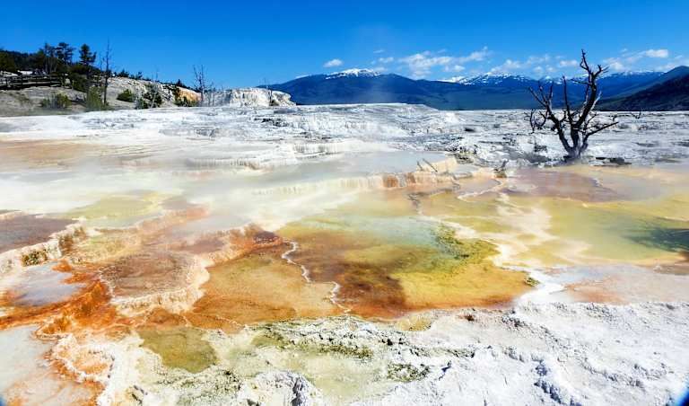 Autotour Yellowstone, Rocheuses et Mont Rushmore 2* pas cher photo 16