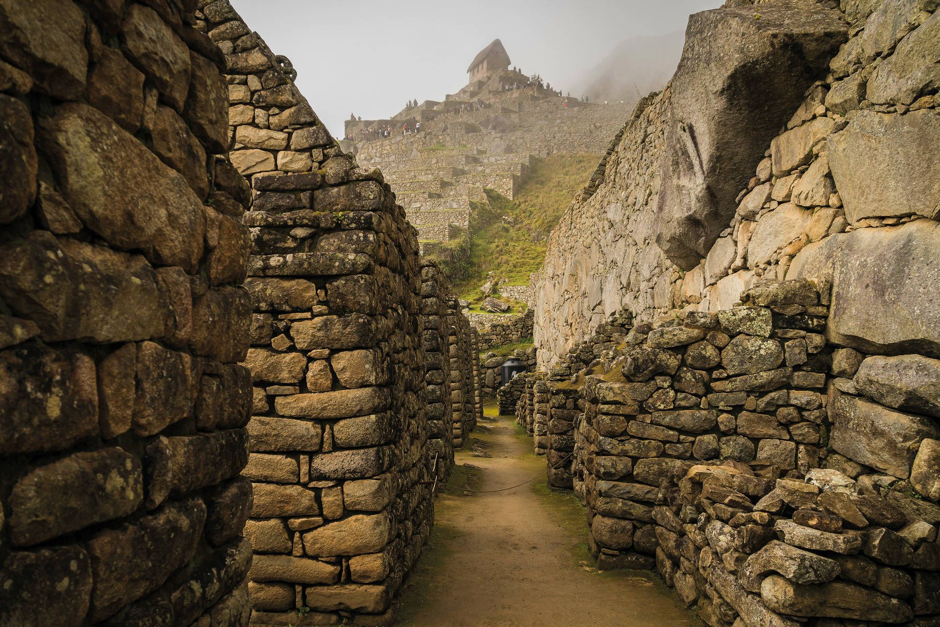 Circuit Des rives du lac Titicaca aux Cités Perdues Inca pas cher photo 9