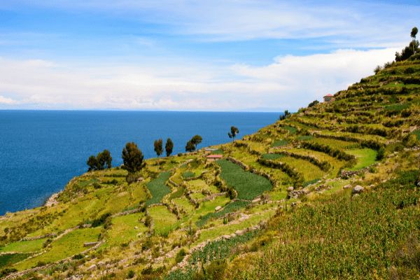 Circuit Des Lignes de Nazca au Coeur du Pays Inca pas cher photo 20