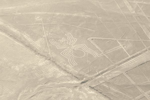 Circuit Des Lignes de Nazca au Coeur du Pays Inca pas cher photo 25