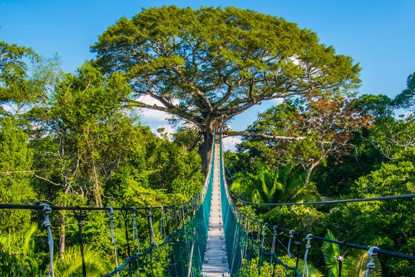 Circuit Au Coeur du Pays Inca & extension Amazonie pas cher photo 9