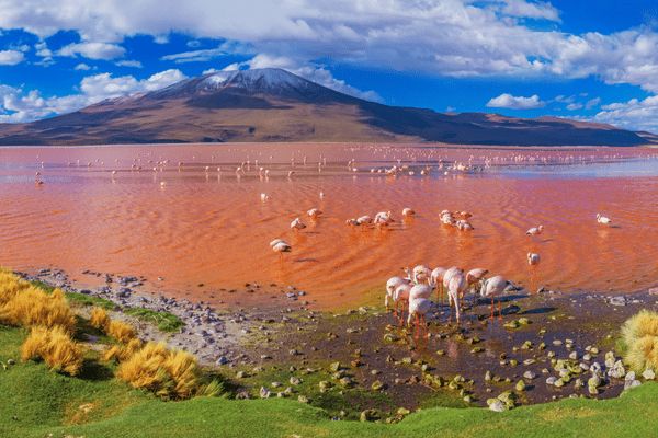 Circuit De la Vallée Sacrée du Pérou à la Bolivie Coloniale pas cher photo 21