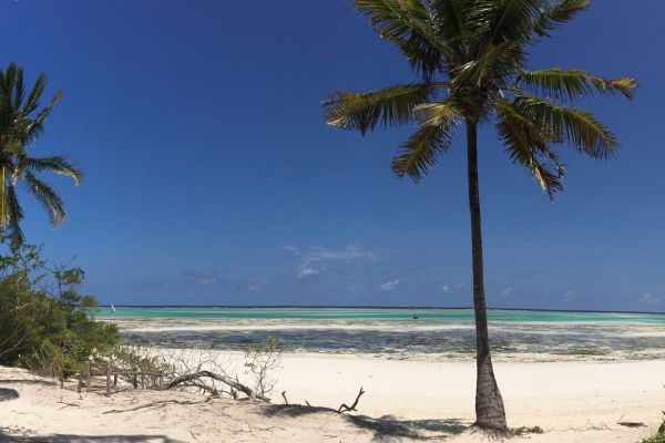 Circuit Des Pistes du Nord aux Plages de Zanzibar pas cher photo 7