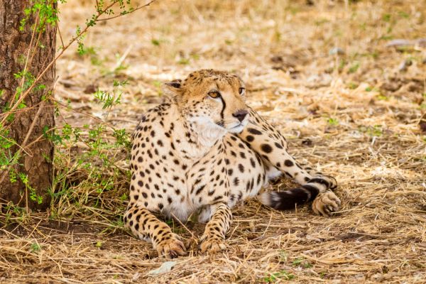 Circuit Des Pistes du Nord aux Plages de Zanzibar pas cher photo 11