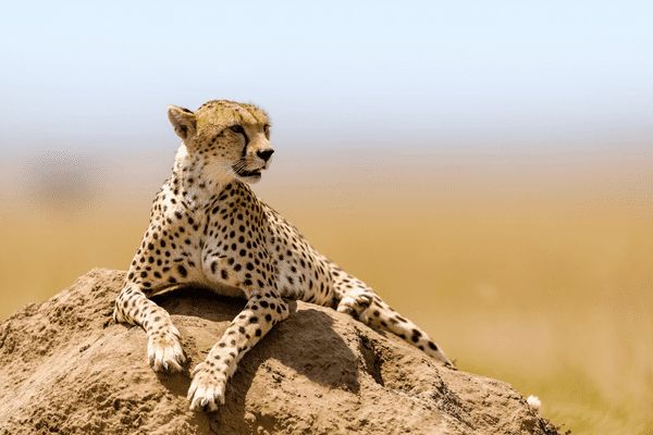 Circuit Tanzanie Insolite pas cher photo 9