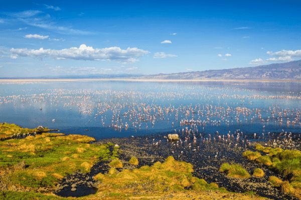 Circuit Tanzanie Insolite pas cher photo 11